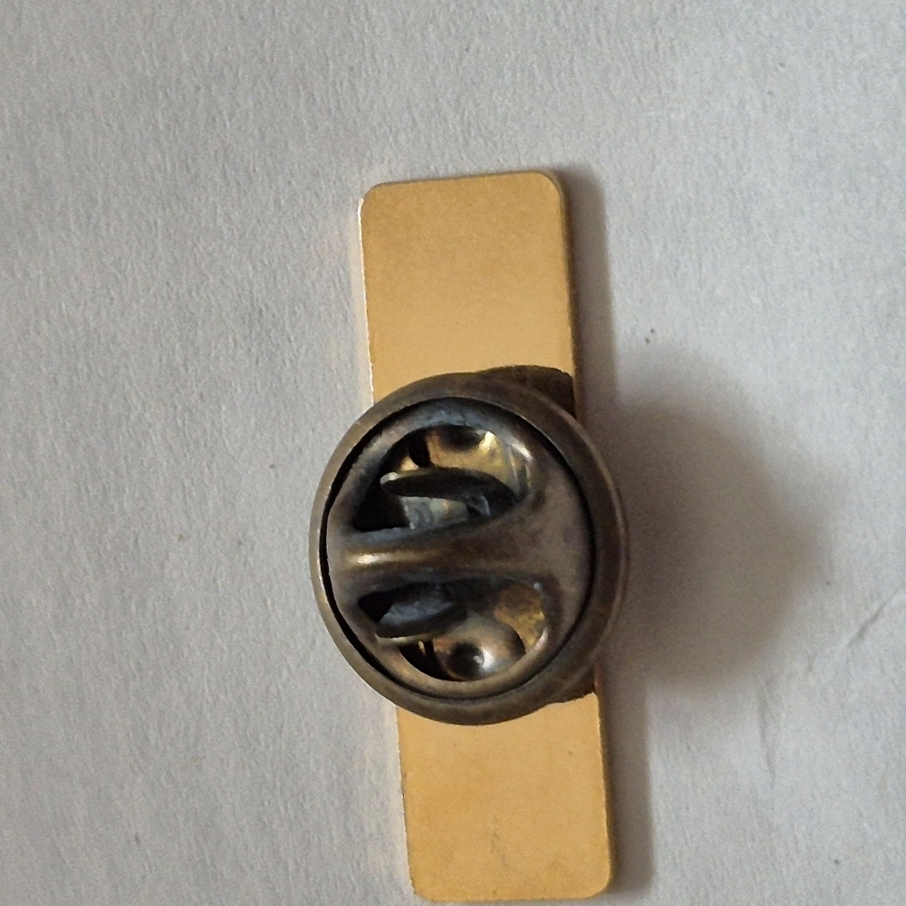 Toronto Gold and Red Lapel Pin Theres No Place Like This On Earth - Picture 2 of 4